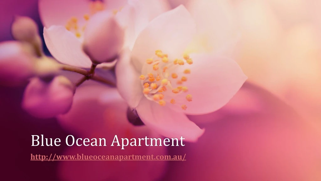 blue ocean apartment http www blueoceanapartment