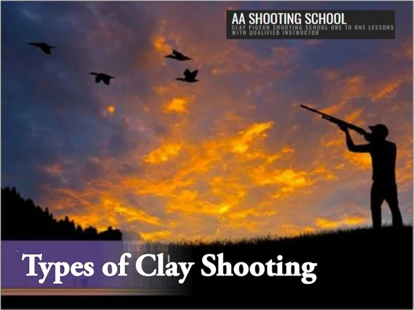 Different Types of Clay Pigeon Shooting Sports | AA Shooting School