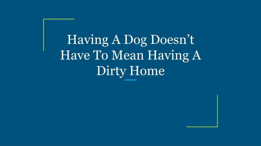 having a dog doesn t have to mean having a dirty home