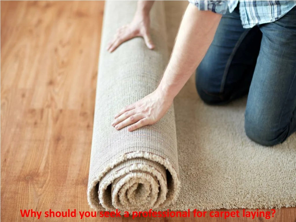why should you seek a professional for carpet