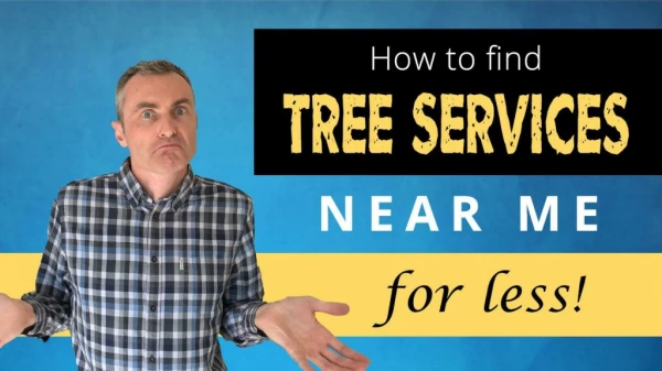 Finding a Tree Service Near me For Less