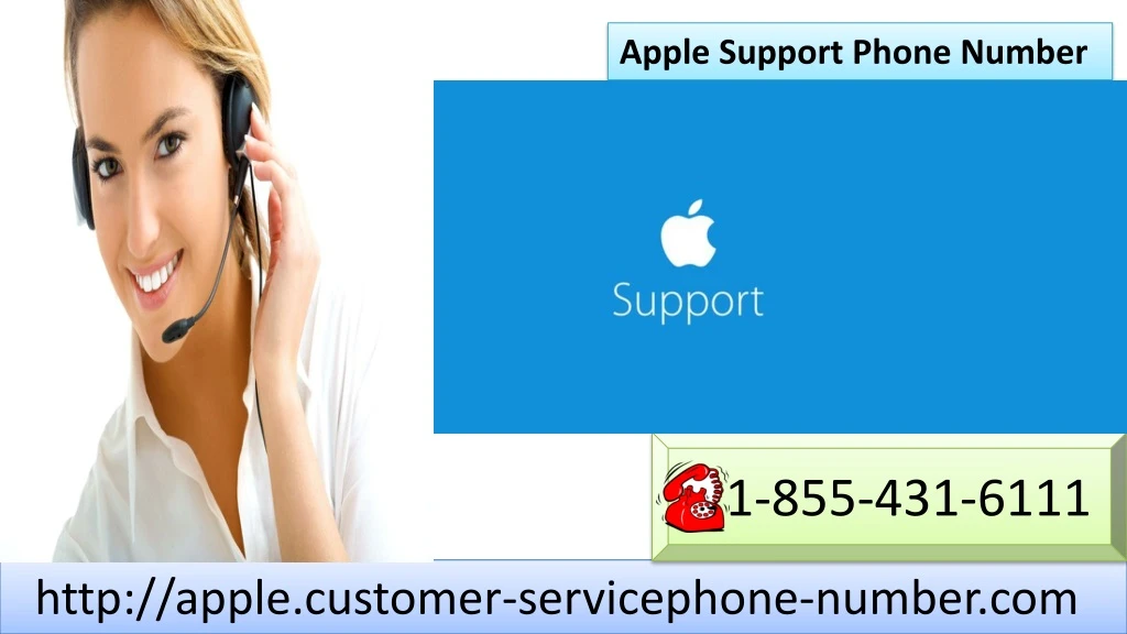 apple support phone number