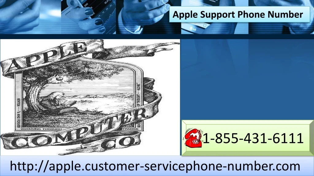 apple support phone number