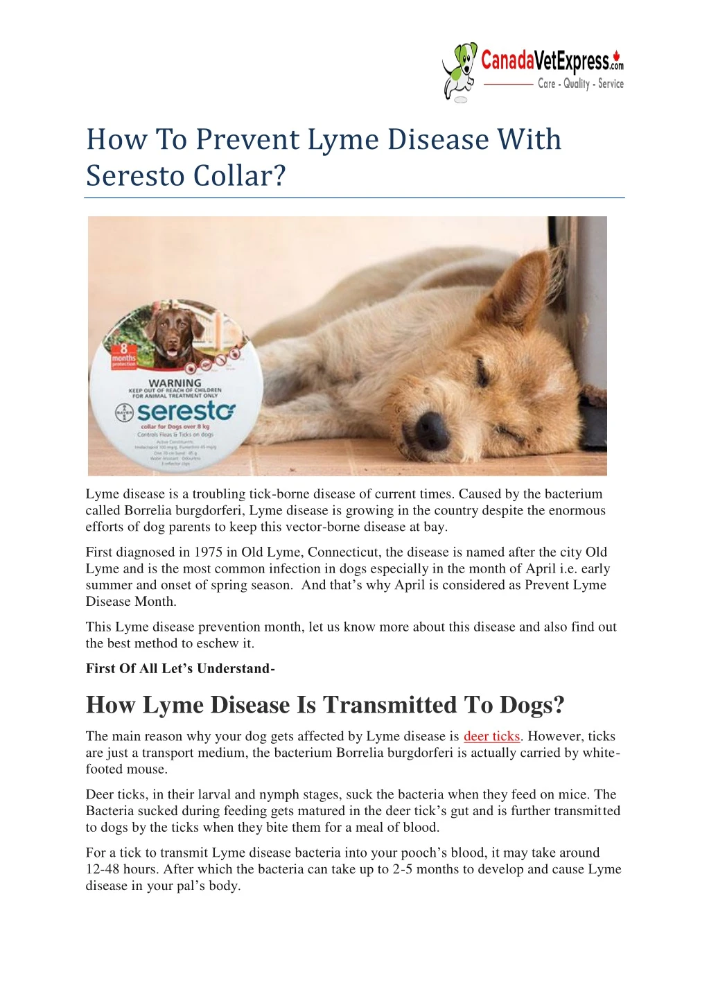how to prevent lyme disease with seresto collar