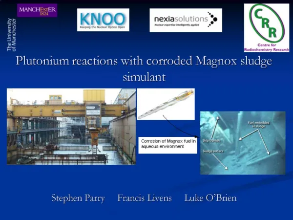 Plutonium reactions with corroded Magnox sludge simulant