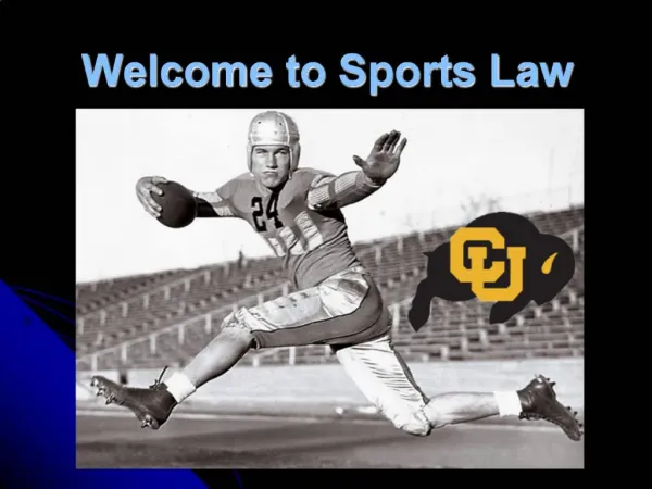 Welcome to Sports Law