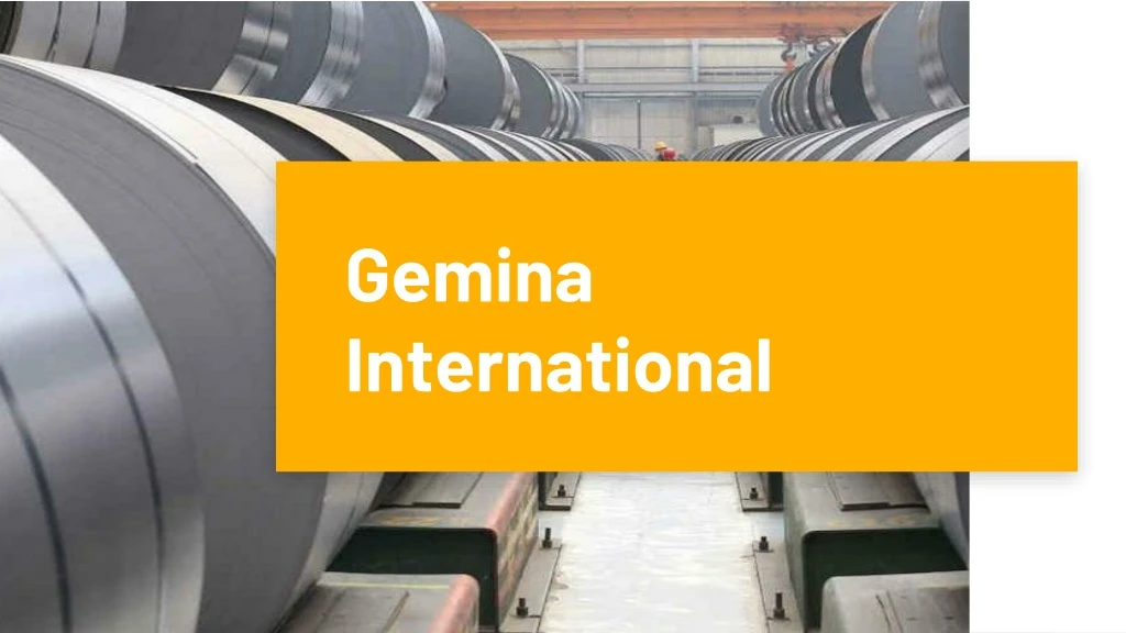 gemina international