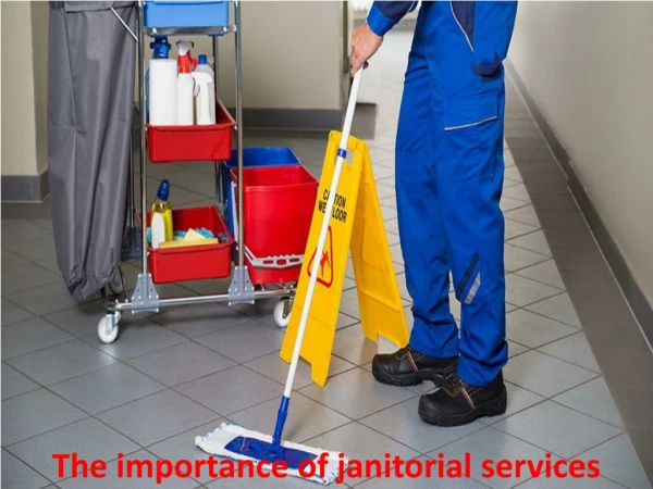 The importance of janitorial services