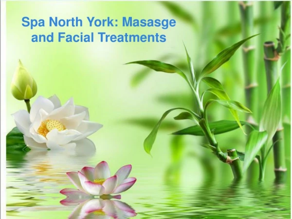 Spa Norh York: Massage and Facial Treatments