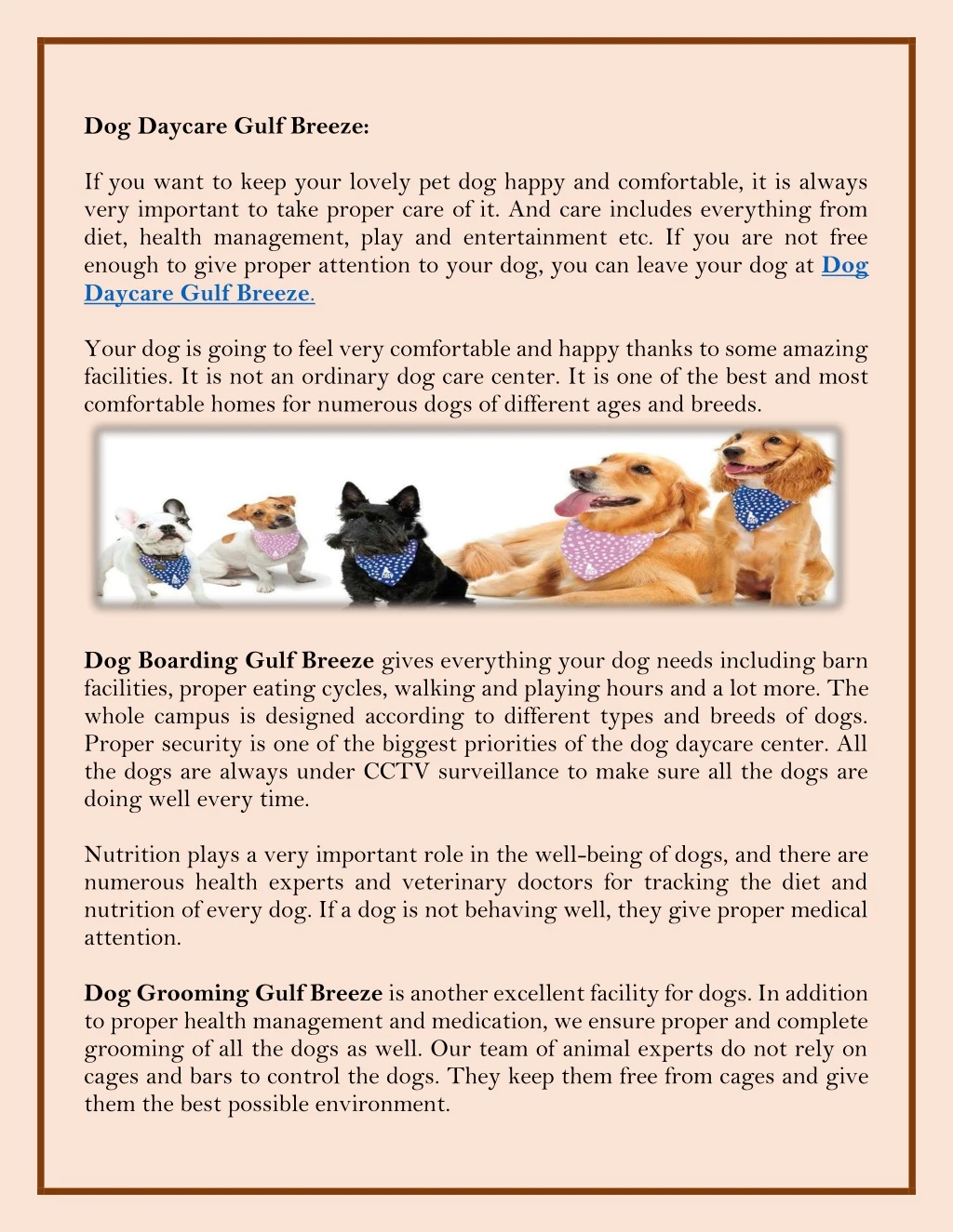 dog daycare gulf breeze if you want to keep your