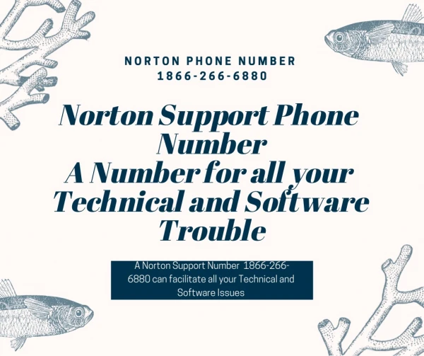 Norton Customer Service Phone Number