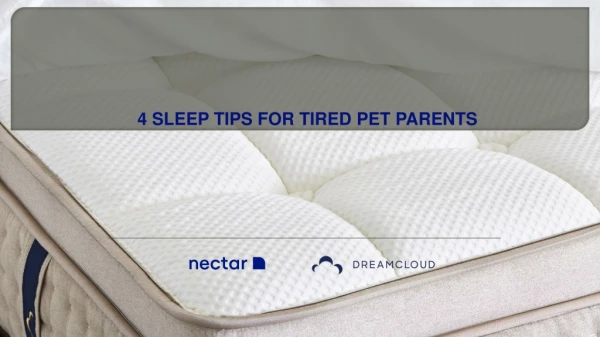 4 SLEEP TIPS FOR TIRED PET PARENTS