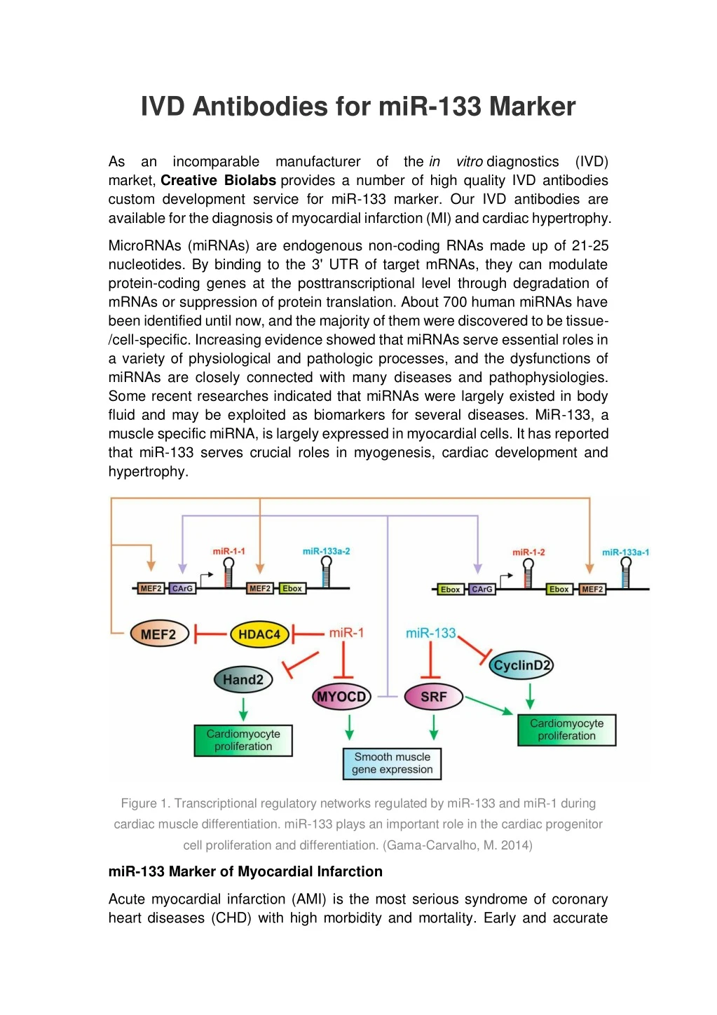 ivd antibodies for mir 133 marker