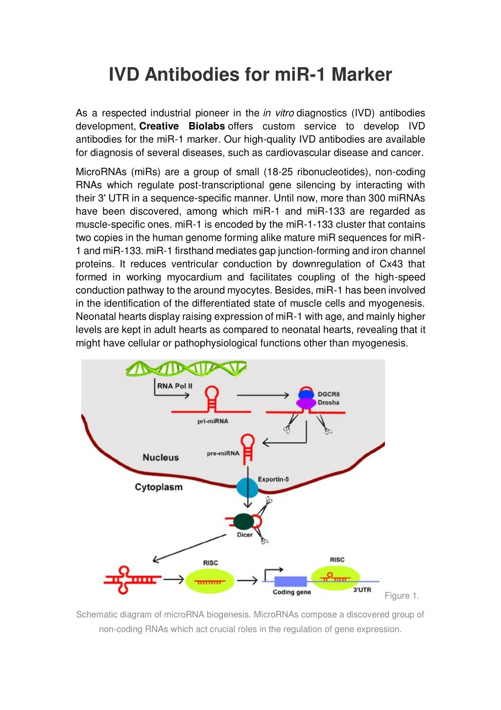 ivd antibodies for mir 1 marker