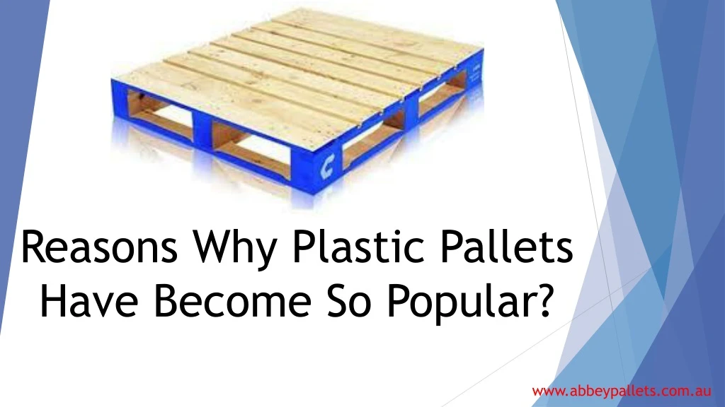 reasons why plastic pallets have become so popular