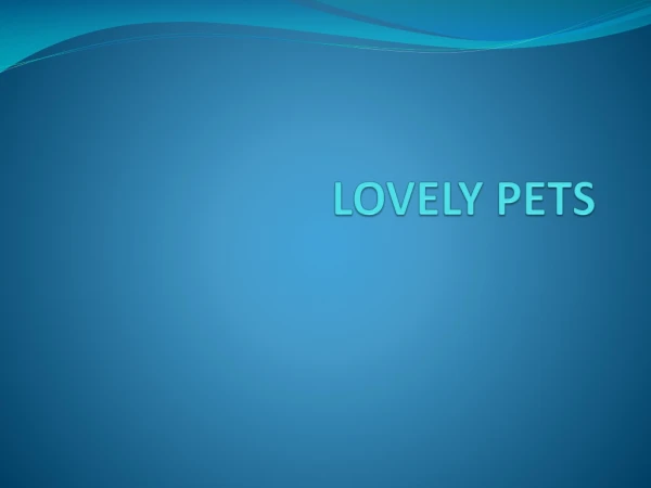 lovely pets