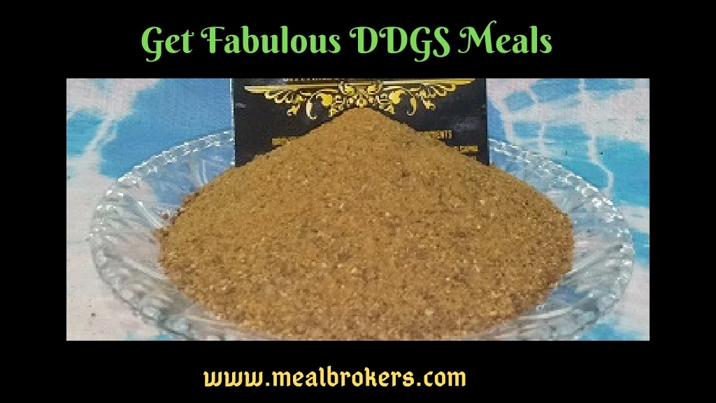 get fabulous ddgs meals