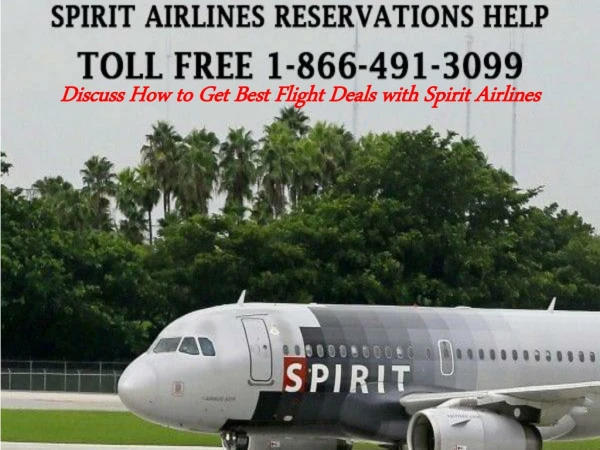 Discuss How to Get Best Flight Deals with Spirit Airlines