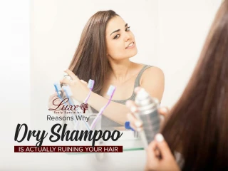 PPT - Dry Hair Shampoo PowerPoint Presentation, free download - ID:7443866