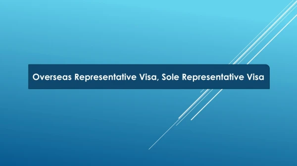 Sole Representative Visa | Overseas Representative Visa