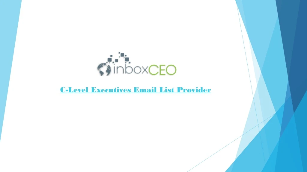 c level executives email list provider