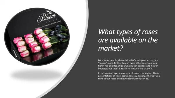 What types of roses are available on the market?