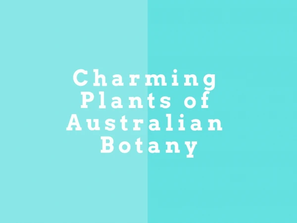4 Charming Plants of Australian Botany