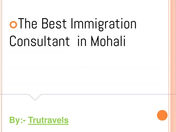The Best Immigration Consultant in Mohali