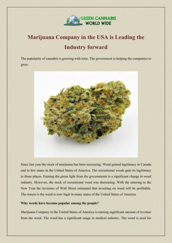 Marijuana Company in the USA is Leading the Industry forward