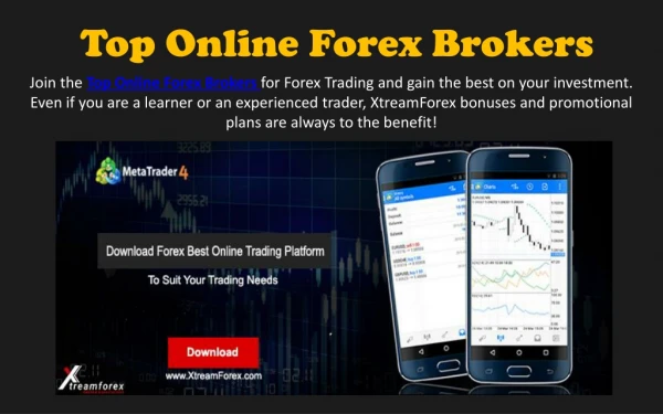 Top Rated Forex Brokers