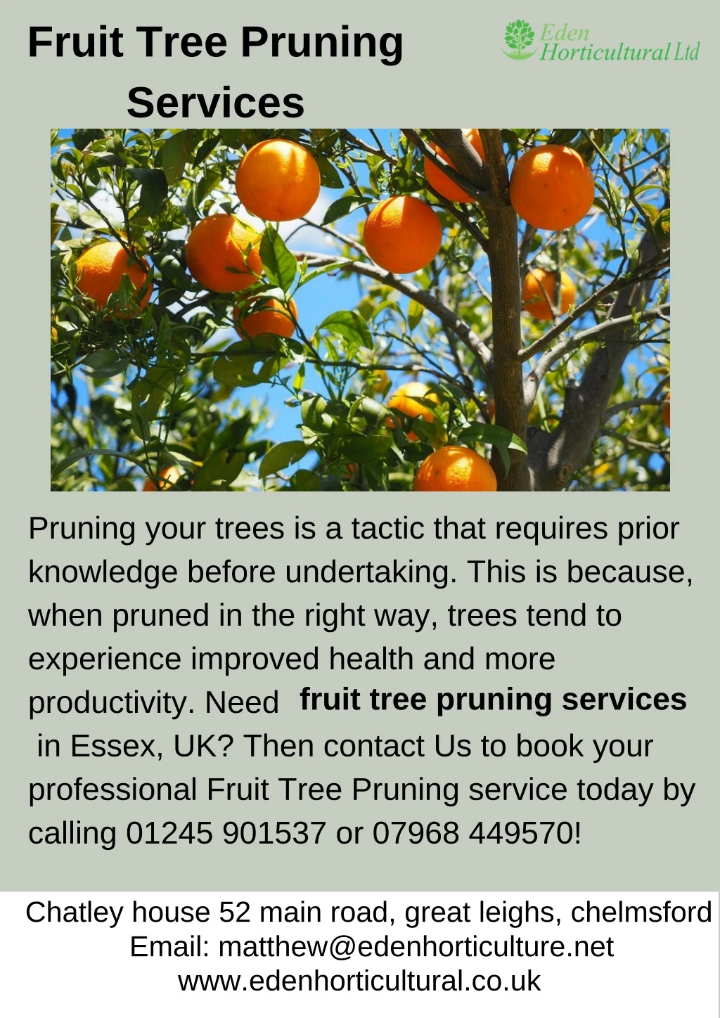 fruit tree pruning services
