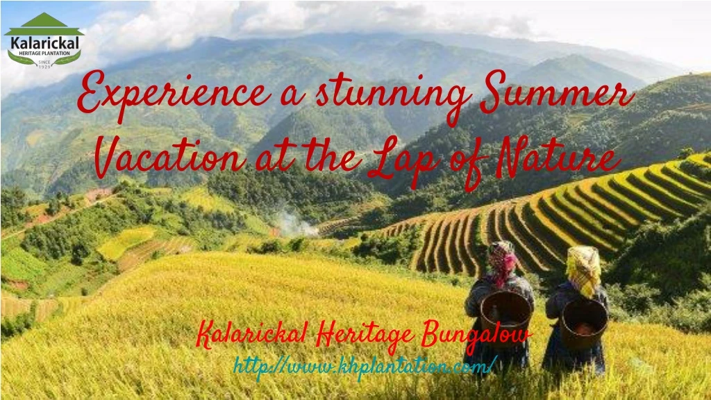 experience a stunning summer vacation at the lap of nature