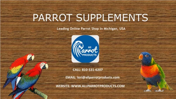 Buy High Quality Parrot Supplements Online – All Parrot Products