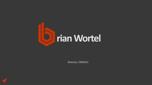 Brian T. Wortel - Experienced Professional From Dyer, Indiana