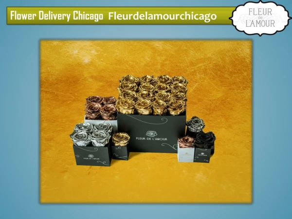 Flower Delivery by Fleurdelamourchicago