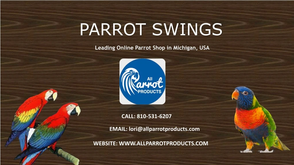 parrot swings