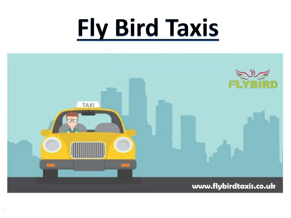 fly bird taxis