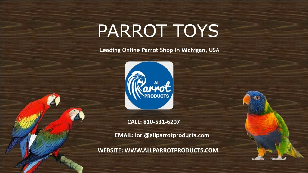 parrot toys