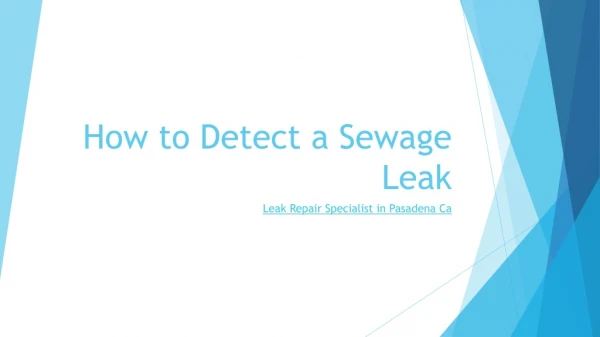 How to Detect a Sewage Leak