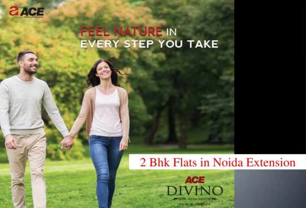 2 BHK Flats in Noida Extension - Ace Divino