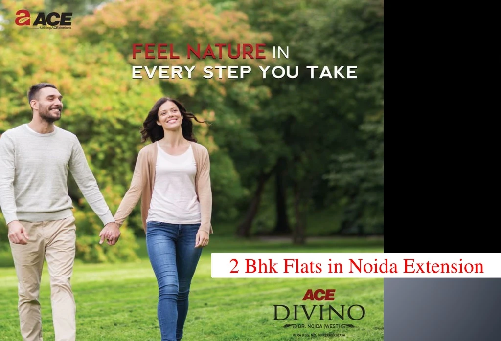 2 bhk flats in noida extension