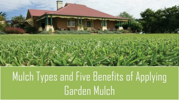 Mulch Types and Five Benefits of Applying Garden Mulch
