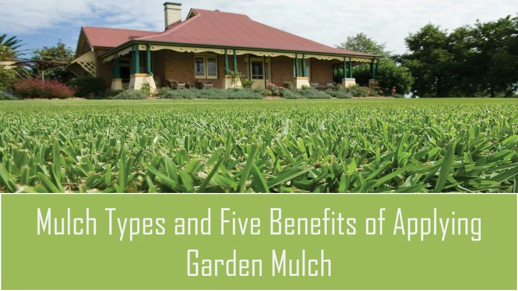 mulch types and five benefits of applying garden mulch