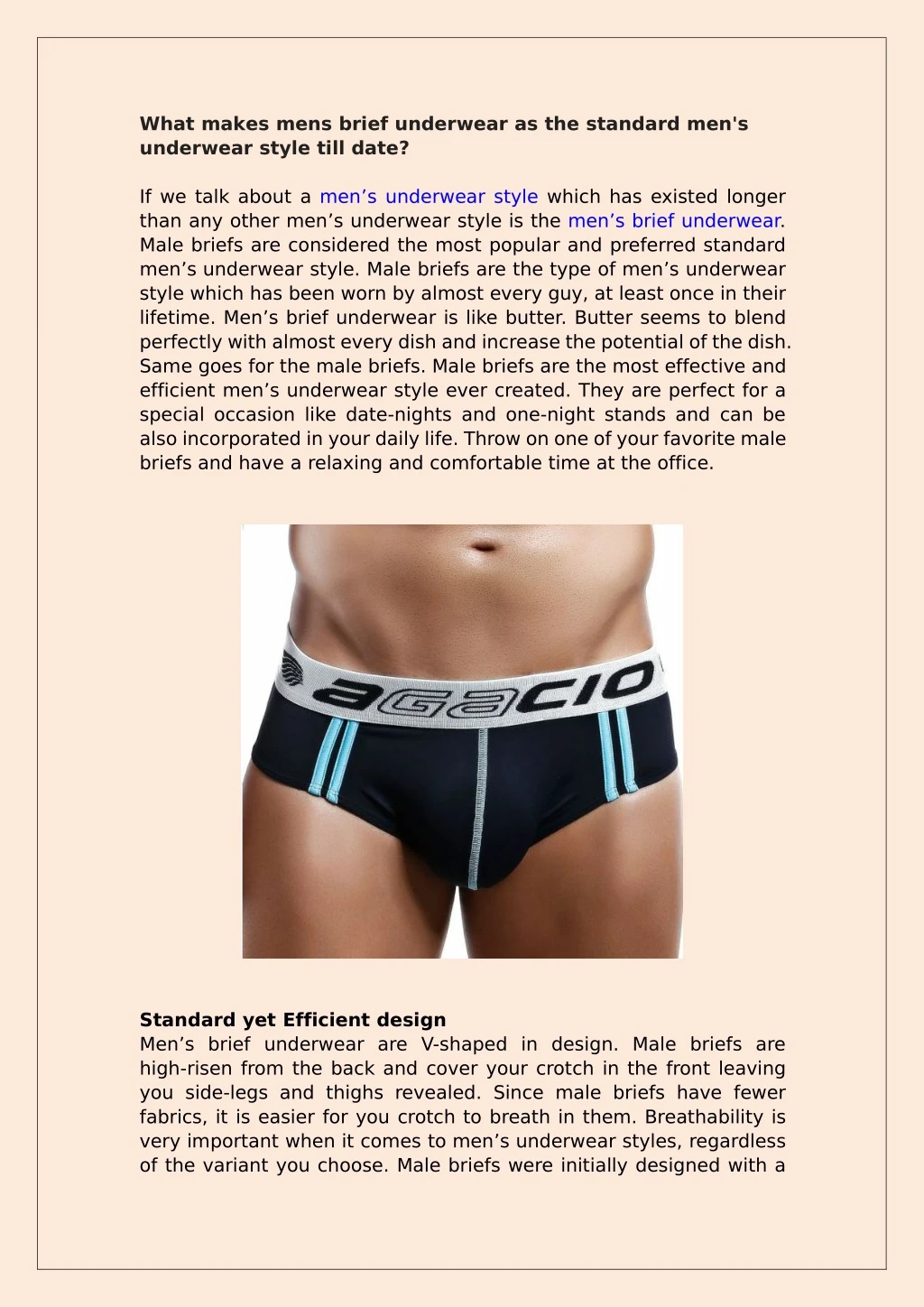 what makes mens brief underwear as the standard