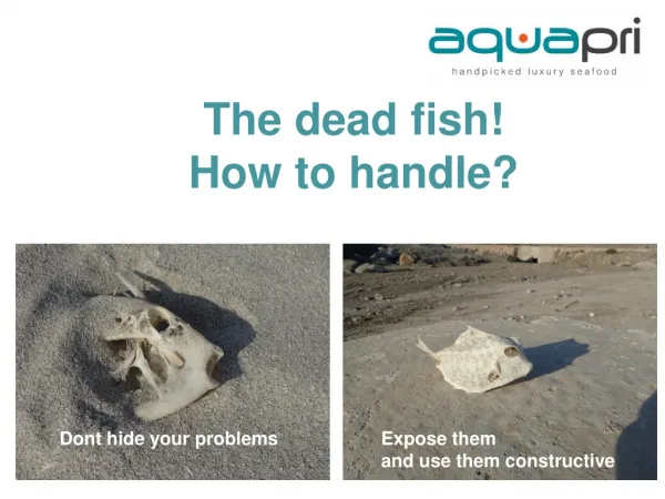 The dead fish ! How to handle?