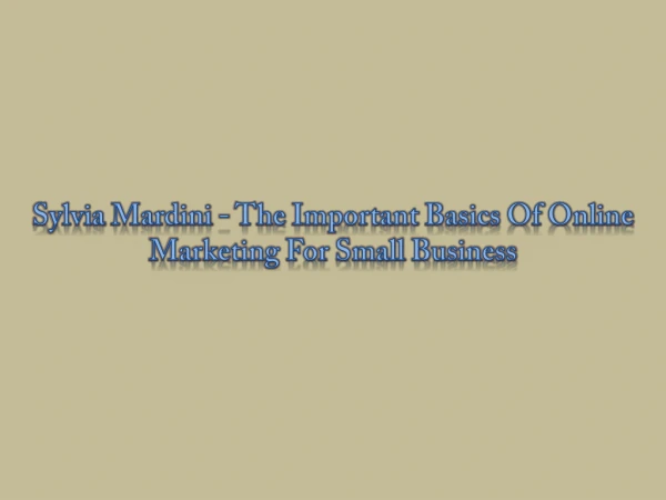 Sylvia Mardini - The Important Basics Of Online Marketing For Small Business