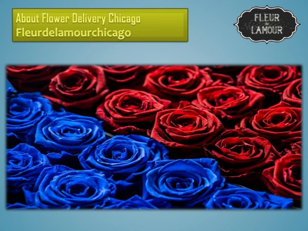 About Flower Delivery Chicago