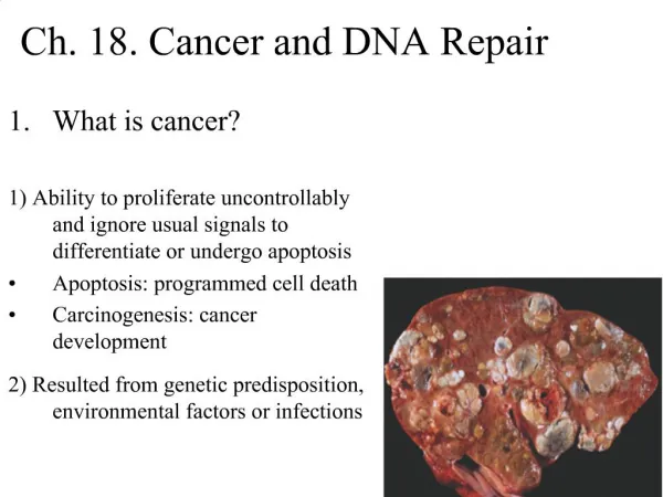 Ch. 18. Cancer and DNA Repair