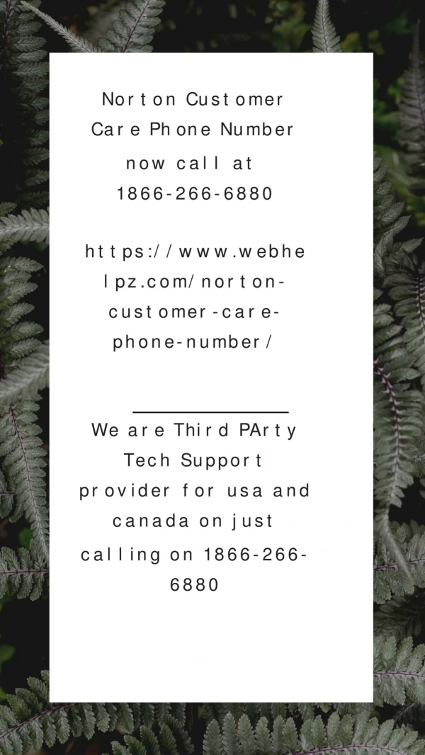 Norton Customer Care Phone Number