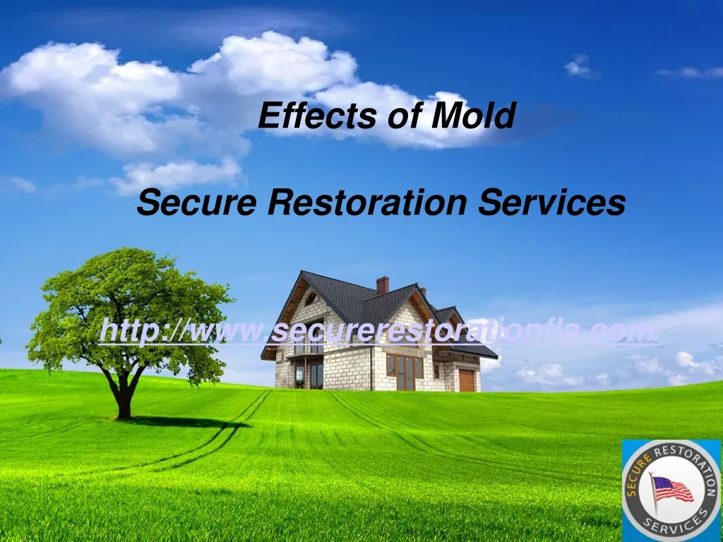 effects of mold secure restoration services http www securerestorationfla com